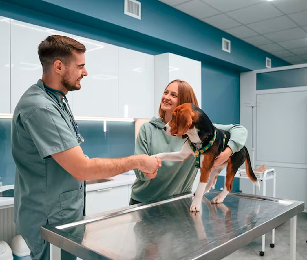 Estrutura da Clínica Veterinária DocPets