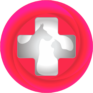 Logo DocPets