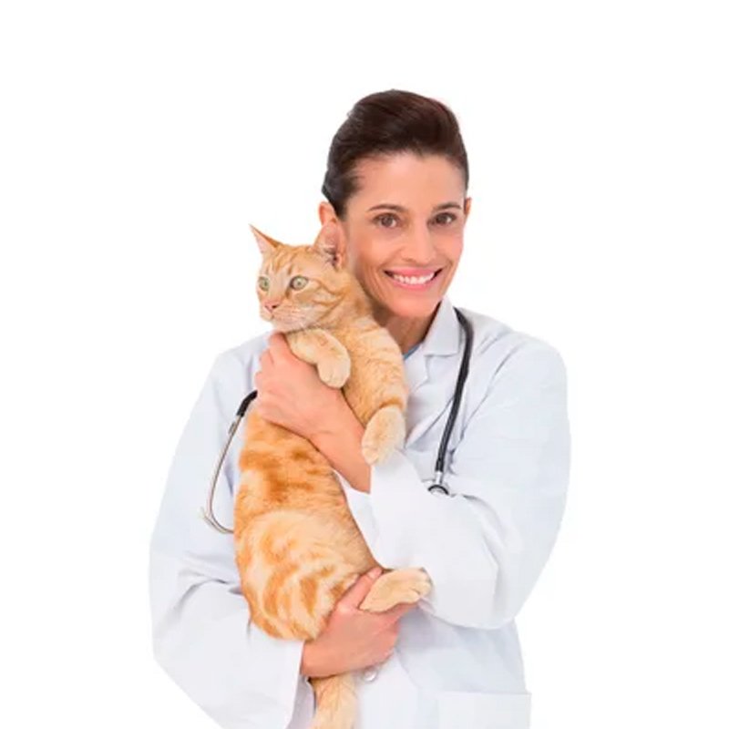 Dra. Joyra de Fátima Araujo — Médica Veterinária